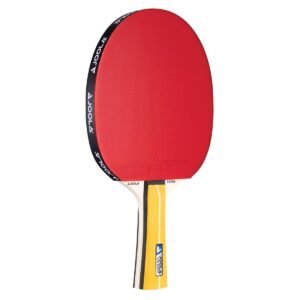 Paleta Joola Team Master